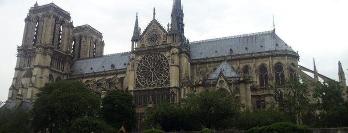 Cathedral of Notre-Dame de Paris is one of DIVINE ILLUMINATIONS.