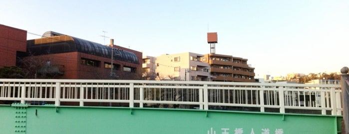 山王橋人道橋 is one of 橋.