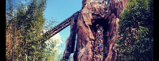 Expedition Everest is one of Florida Trip '12.
