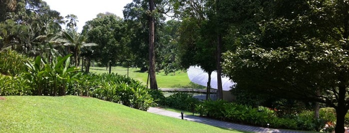 Singapore Botanic Gardens is one of Parks.