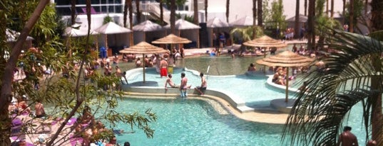 Beachlife at Hard Rock Hotel is one of Las Vegas extended.