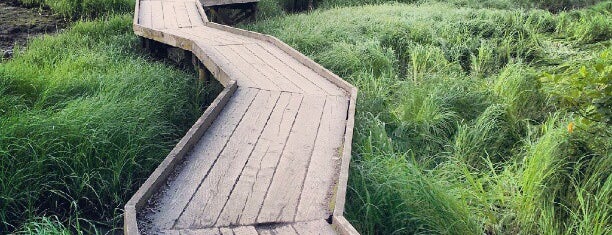 Rocky Point Park is one of Best of Port Moody.