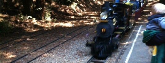 Redwood Valley Railway is one of Bay Area Kid Fun.