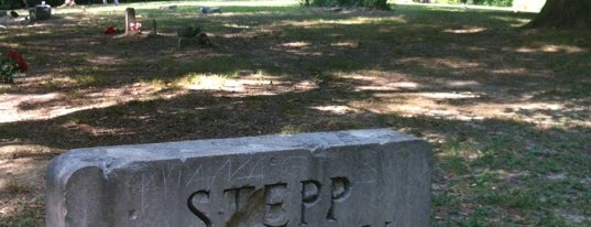 Stepp Cemetery is one of Indianapolis.