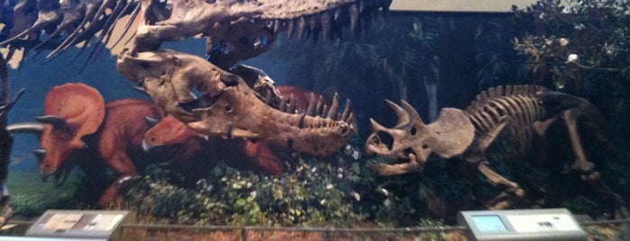 Carnegie Museum of Natural History is one of Pittsburgh.