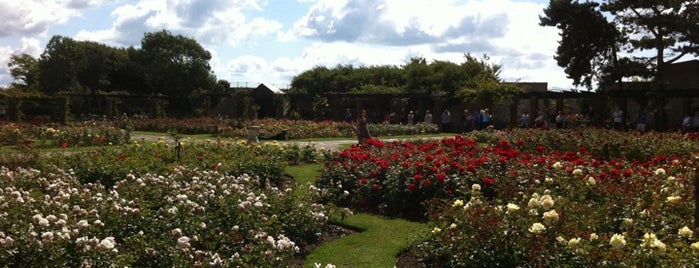Southsea Rose Garden is one of Tempat yang Disukai Leach.