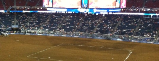 Houston Livestock Show and Rodeo is one of ♫ My Texas ♫.