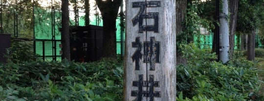 石神井公園 is one of 練馬観光.