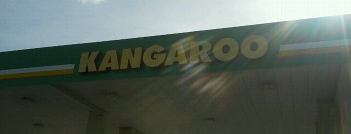 Kangaroo Express is one of Florida Subways 2.
