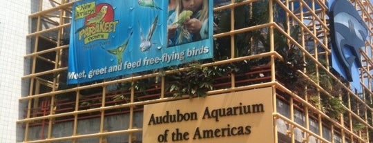 Audubon Aquarium of the Americas is one of New Orleans Shopping & Entertainment.