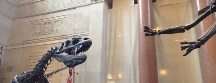American Museum of Natural History is one of Stuff-To-Do List.