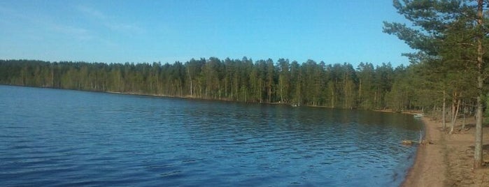 Высокинское озеро is one of Tempat yang Disimpan Александр✌.