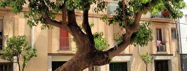 Plaça de Prim is one of Lugares favoritos de jordi.