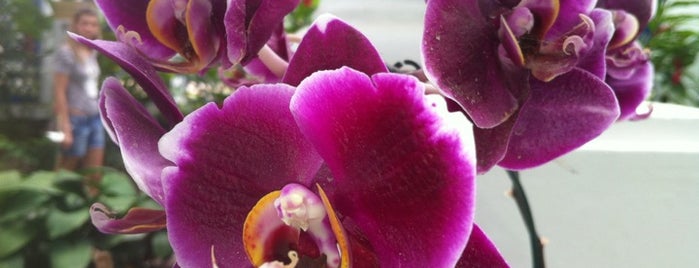 Orquidário is one of Helem 님이 좋아한 장소.