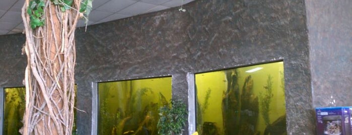 Aquarium World is one of Locais salvos de Mzz.