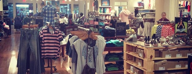 American Eagle & Aerie Store is one of shopping Tallahassee.