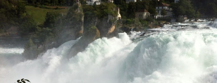 Rhine Falls is one of Switzerland.