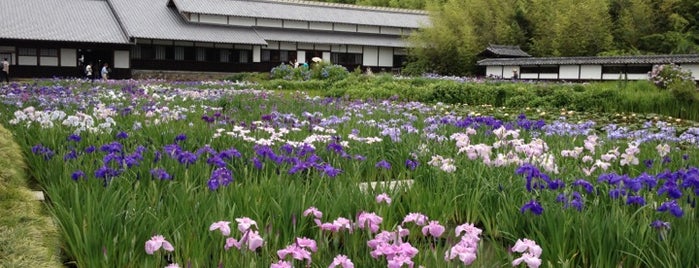 加茂荘花鳥園 is one of 静岡県の動物園・水族館・植物園.