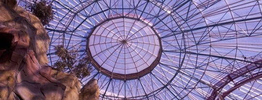 The Adventuredome is one of Top 10 Vegas Family-Friendly Attractions.