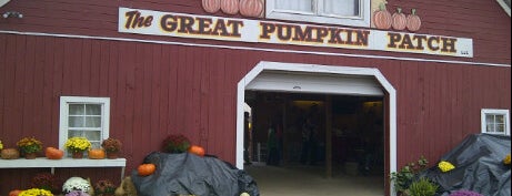 The Great Pumpkin Patch is one of Top 10 places to try this season.