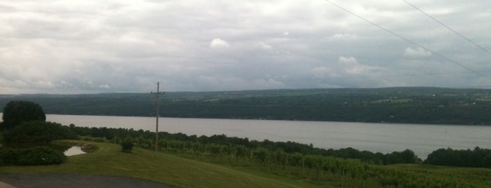 Chateau Lafayette Reneau is one of Finger Lakes Wine Trail & Some.