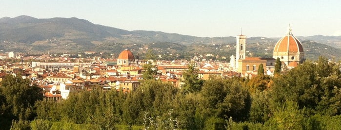 Chestnut Meadow is one of Discover: Florence (Firenze), Italy.