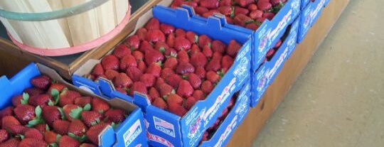 Strawberry Hill U.S.A. is one of Upstate SC Fairs and Festivals.