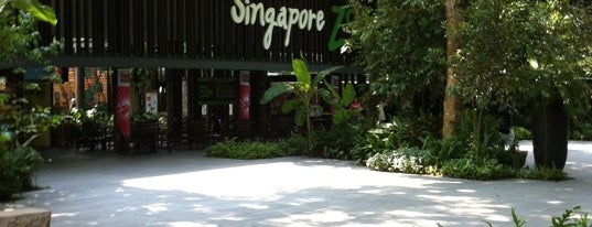 Singapore Zoo is one of Parks.