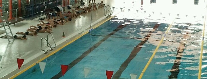 Stedelijk Zwembad is one of sport.