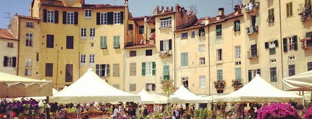 Piazza dell'Anfiteatro is one of Lucca.