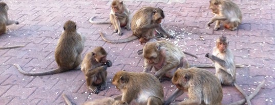 Phra Kal Shrine is one of Place.