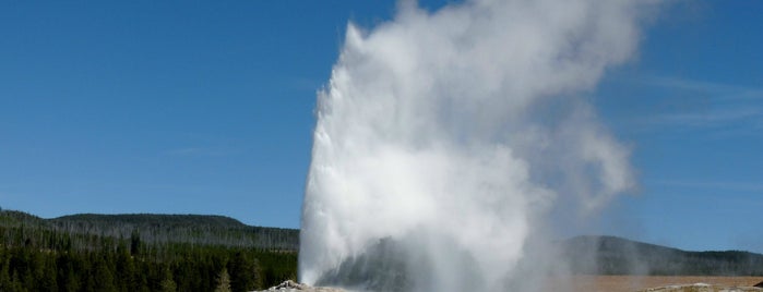 Yellowstone National Park - North Entrance is one of TOP Národní parky USA.
