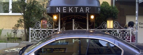 Nektar is one of Bars in Belgium and the world.