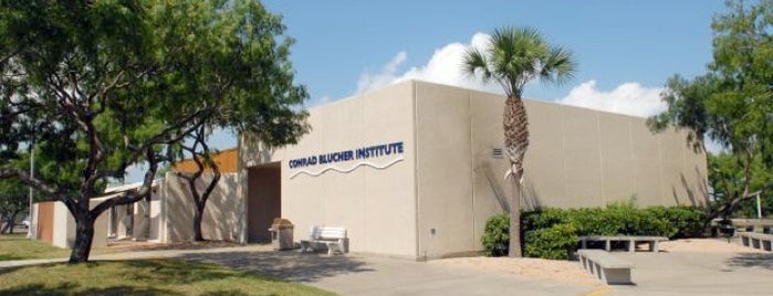 Conrad Blucher Institute (CBI) is one of TAMUCC.