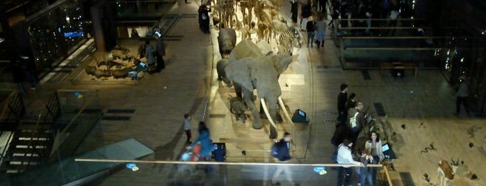 Большая галерея эволюции is one of Paris.