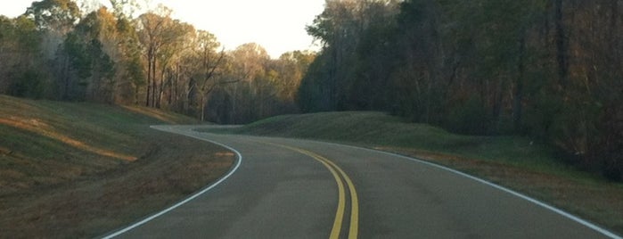 Natchez Trace Parkway is one of Best Places to see while in the Miss-Lou.