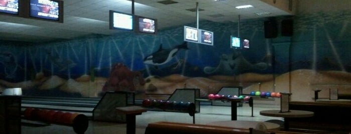 Octopus Bowling Café is one of Pubs & Party Clubs in Baia Mare ..