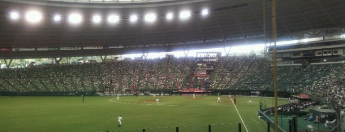 Belluna Dome is one of プロ野球スタジアム.