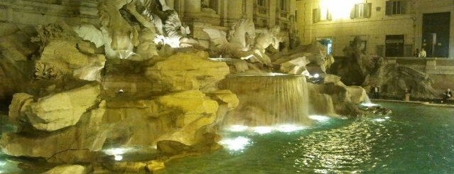 Trevi Fountain is one of Places I have been.