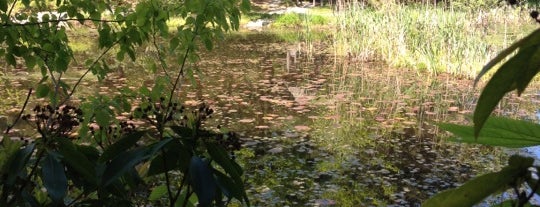 The Pond Rt 299 is one of สถานที่ที่ Justin ถูกใจ.