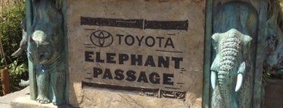 Toyota Elephant Passage is one of Visit Denver.