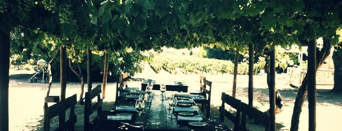 Restaurant Rayuela Wine & Grill is one of Chile.