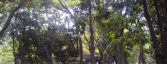 Kiyosumi Park is one of Parks & Gardens in Tokyo / 東京の公園・庭園.