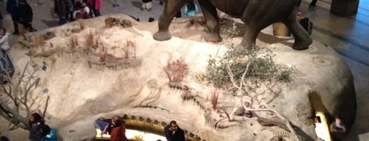 Smithsonian National Museum of Natural History is one of Cultural - Washington DC.