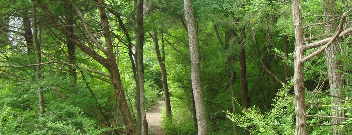 L B Houston Nature Trail, East Trailhead is one of Bike Trails.