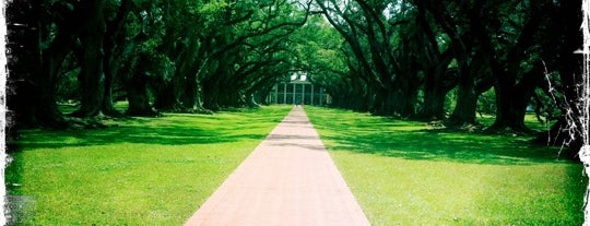 Oak Alley Plantation is one of Best Places to Check out in United States Pt 2.