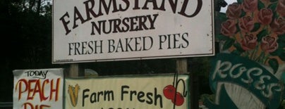 Pocono Farmstand Nursery is one of สถานที่ที่ Michael ถูกใจ.
