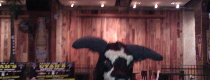 Places with a Mechanical Bull