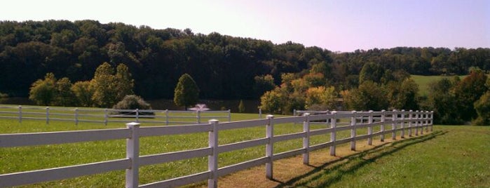 Carousel Farm Park is one of Lugares favoritos de Benjamin.