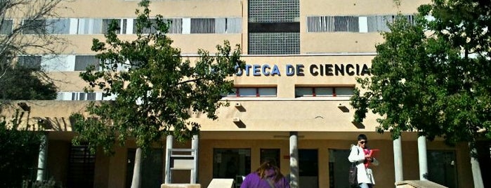 Dónde estudiar en Murcia